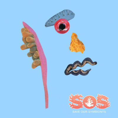 Plato, The Pacific Thumbnail