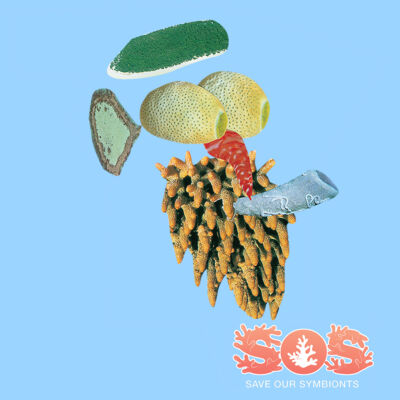 Aristotle, The Atlantic Thumbnail