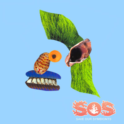 Noll, The Norwegian Thumbnail