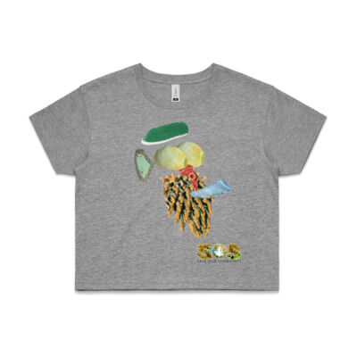 'Aristotle, The Atlantic' Crop Tee Thumbnail