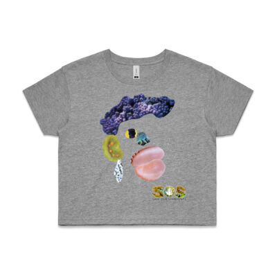 'Celia, The Caribbean' Crop Tee Thumbnail