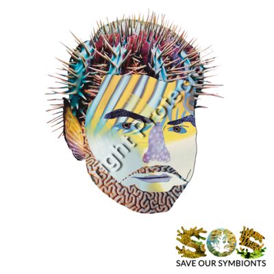 The Biophilia Hypothesis Thumbnail