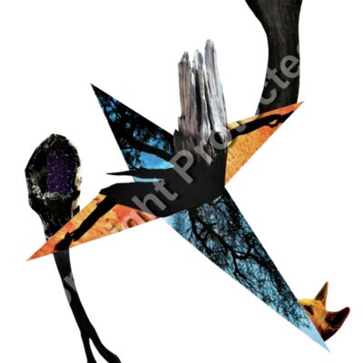 Fire600ppi Thumbnail