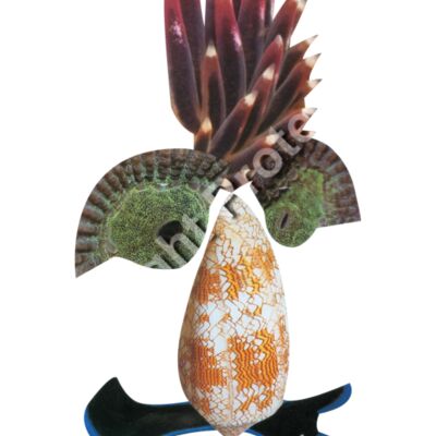 "Jito, The Japan”  Thumbnail