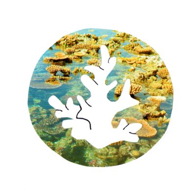 O Coral Collage Logo Thumbnail