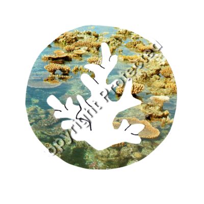 O with border Thumbnail