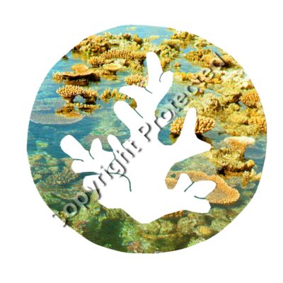 SOS Coral Collage Logo Blue Line Thumbnail