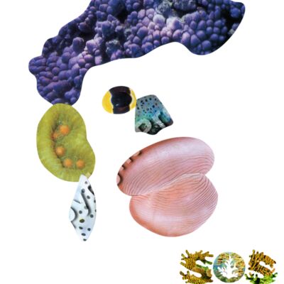 Celia, The Caribbean Thumbnail