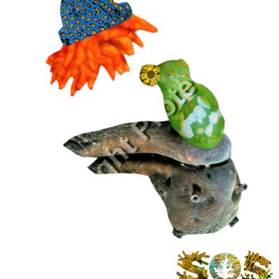 Colin The Celtic Thumbnail