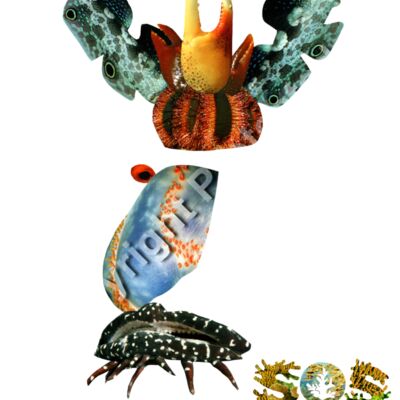 Pax, The Philippine Thumbnail