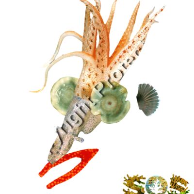 Theo, The Tyrrhenian Thumbnail