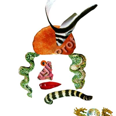 Nikol, The North Thumbnail