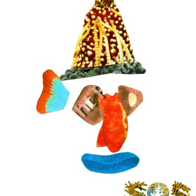 Taika, The Tasman Thumbnail