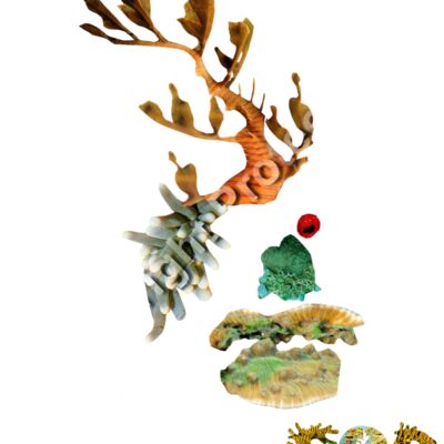 Savage, The Sargasso Thumbnail