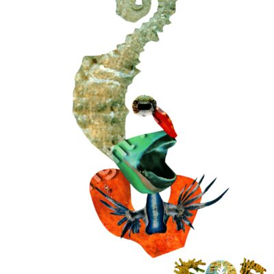 Newton, The North Atlantic Thumbnail