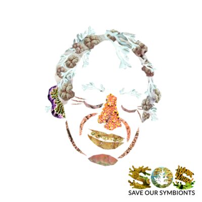 Muga Dhambi Thumbnail