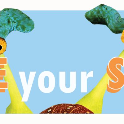 SEE your SEA logo Thumbnail