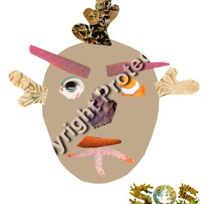 Mr Nemo Winning Design Thumbnail