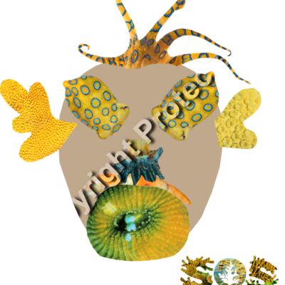 Elijah's Winning Reef Face Thumbnail